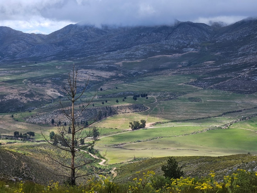 Commercial Property for Sale in Avontuur Western Cape